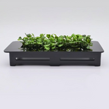 Grind Right Fingerboard Ramp - Large Planter