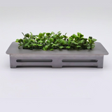 Grind Right Fingerboard Ramp - Large Planter